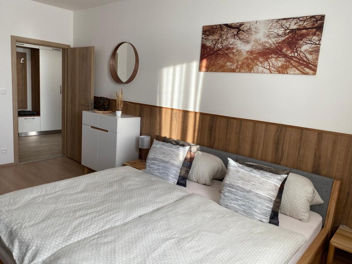 Apartment Petra Klinovec Лоучна-под-Клиновцем Экстерьер фото
